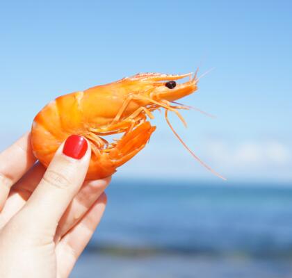 Vacature bij jou in de buurt